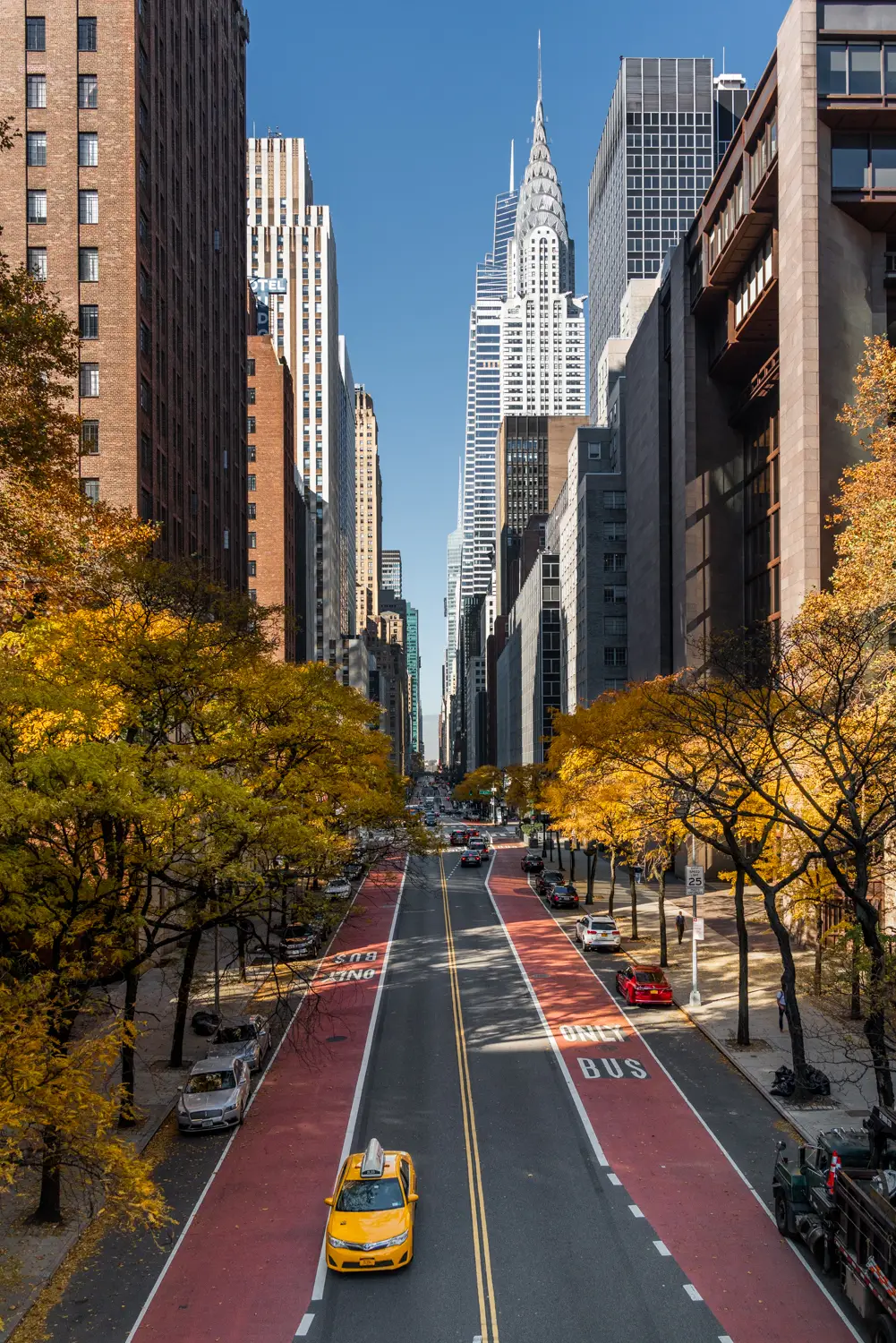 ilka mueller City Day New York Fall
