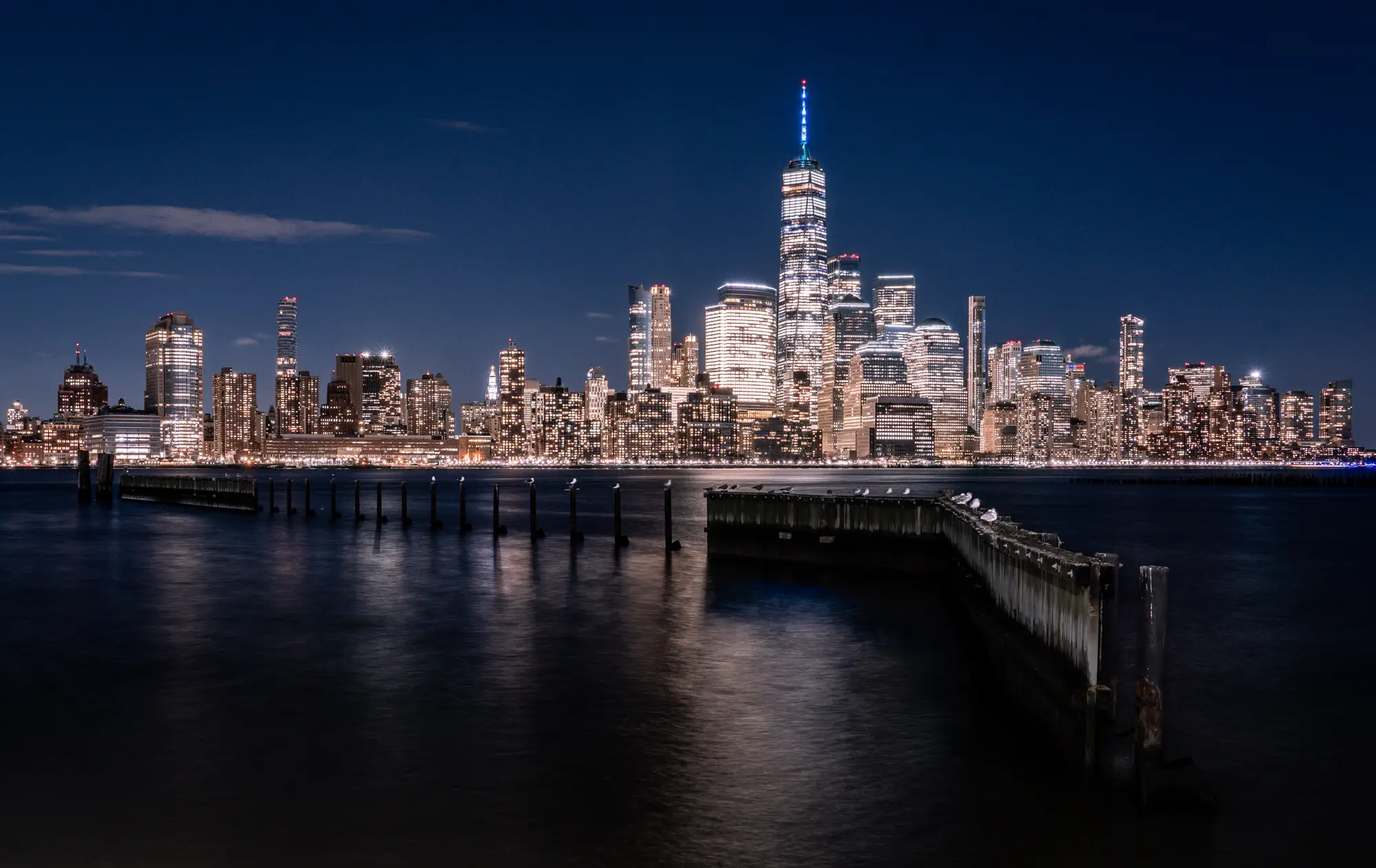 ilka mueller City Night New York Skyline Birds