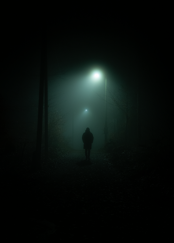 ilka mueller Landscape fog