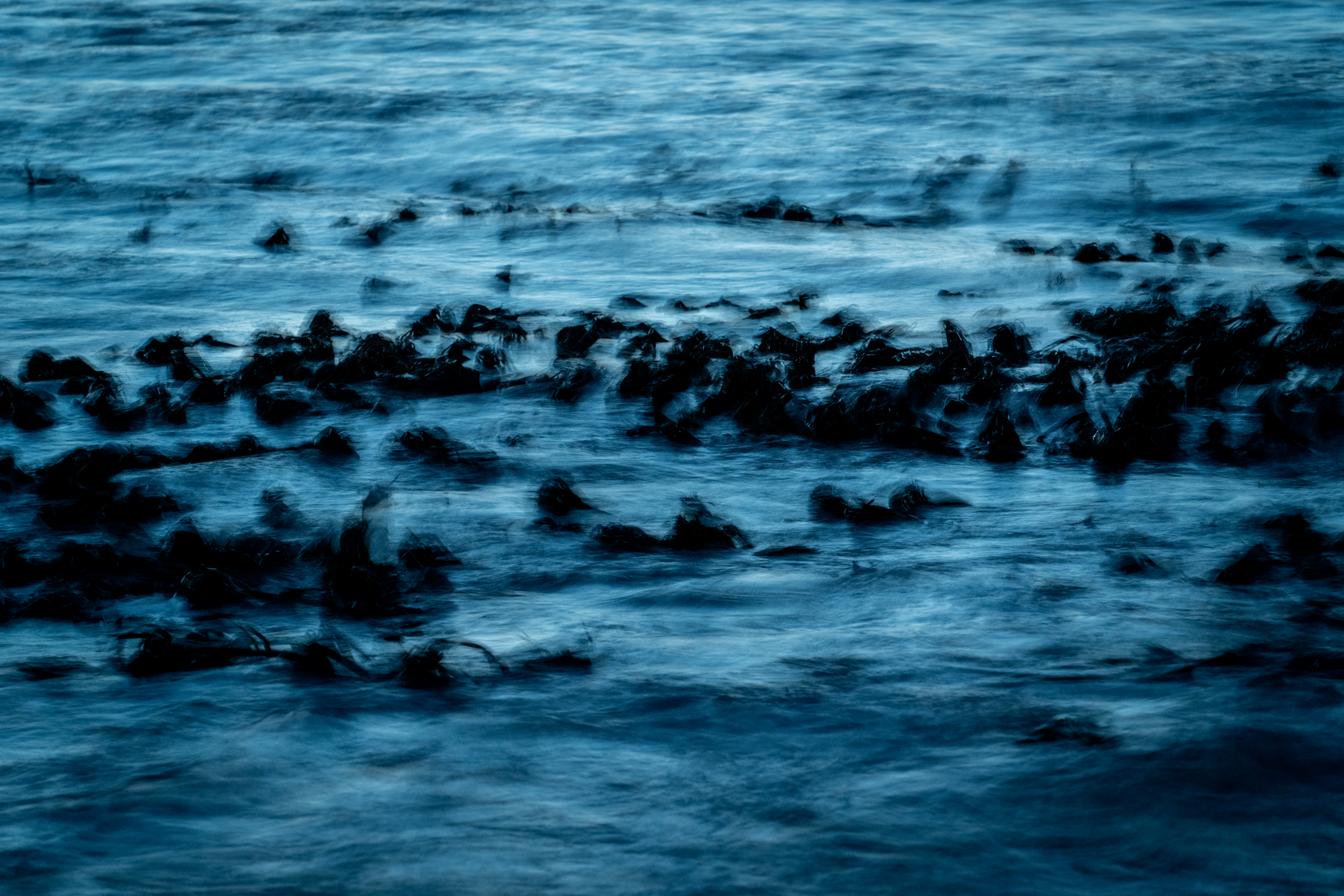 ilka mueller landscape Cape town Tidal